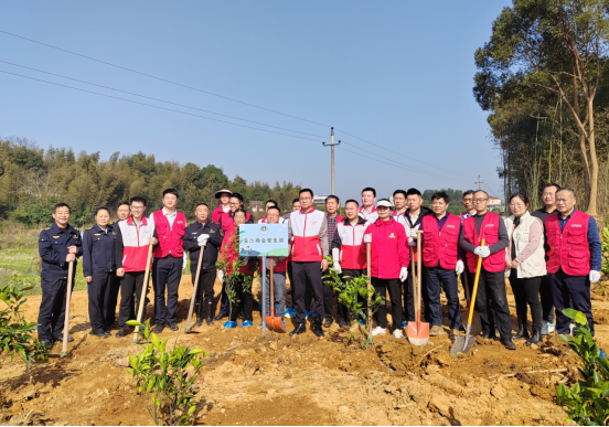 圣保罗家居积极响应安沙商会植树节活动