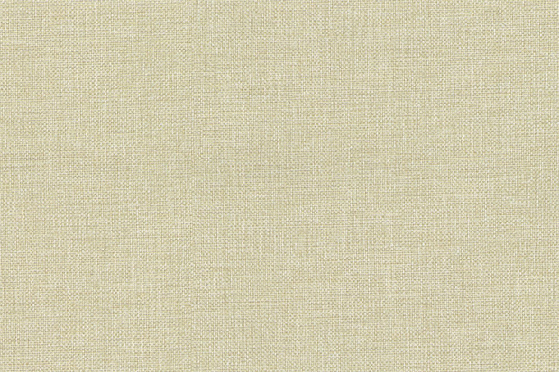 圣保罗wpc墙板qbw888粗布纹